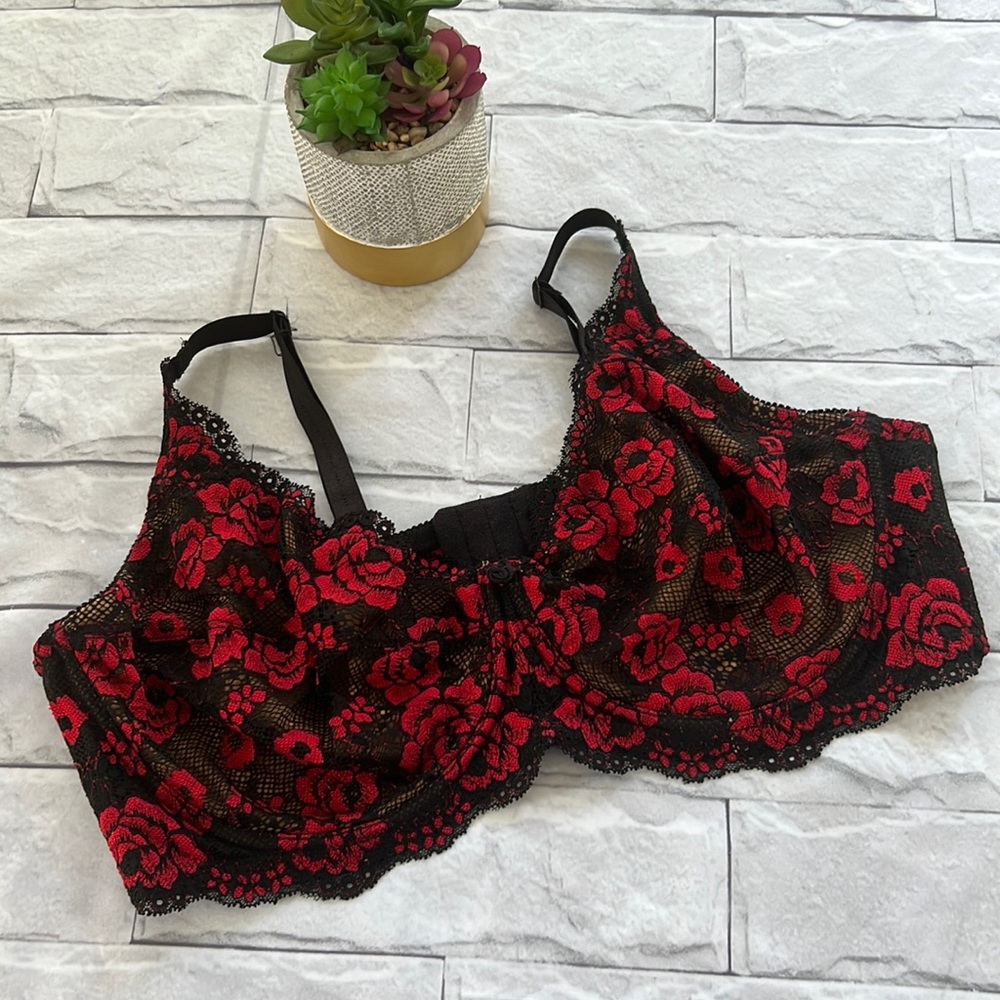 Hips & Curves red floral embroidery bra size 42D
